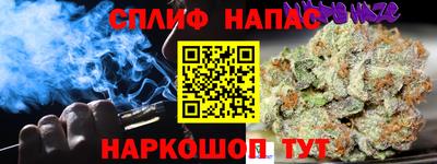гидра Тверь