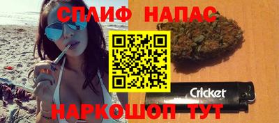 гидра Тверь