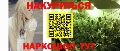 гидра Тверь